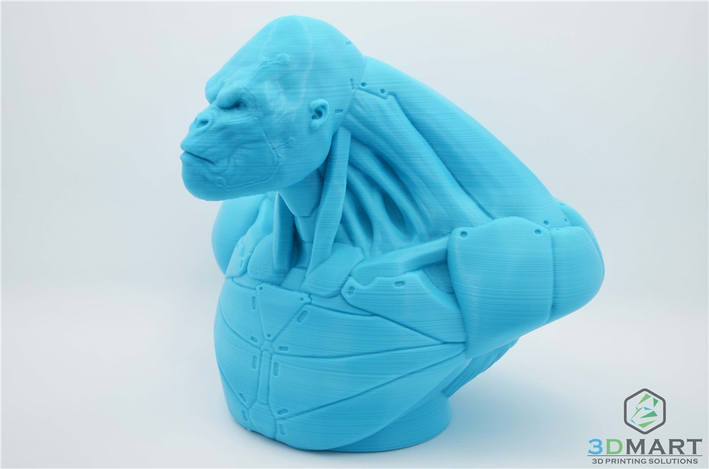 Ultimaker 3D列印機 Esun PLA+材料 Poachers Cortex 左側(cè)