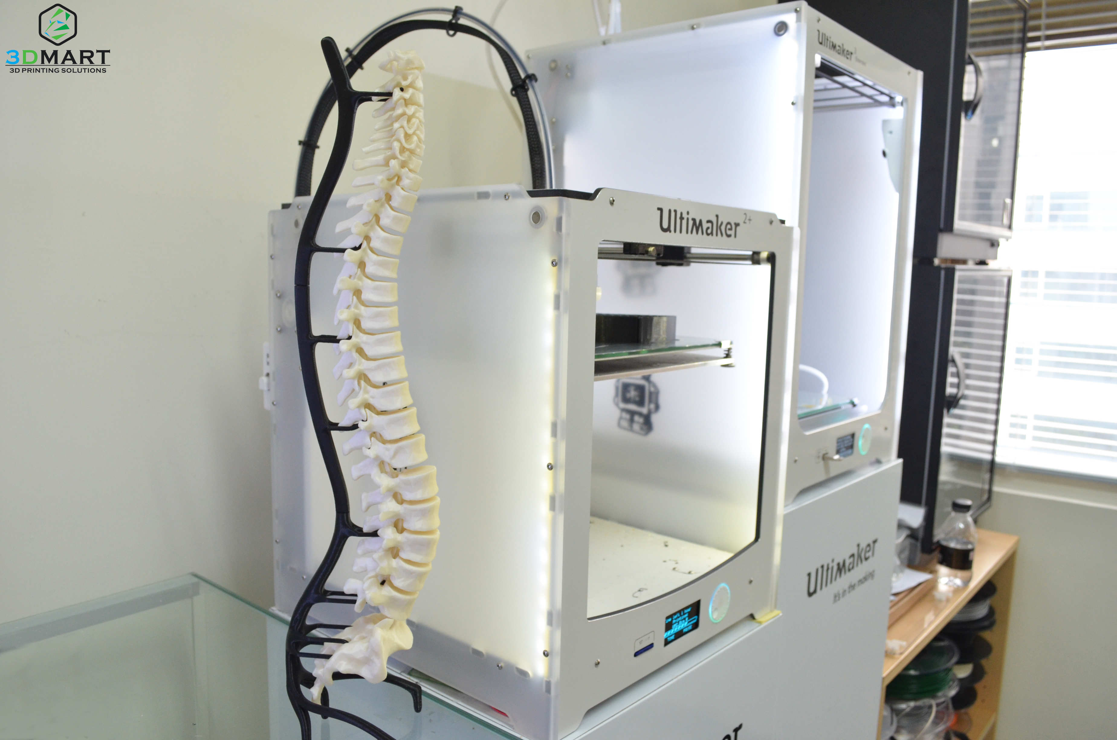 Ultimaker 3 print human spine